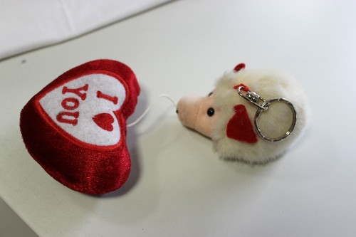 Peluche riccio porospino cuore