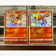 IN STOCK Pokemon T-Chinese 2