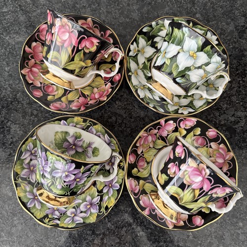 Royal albert provincial - royal,