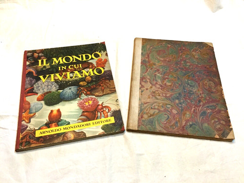 Mondo cui viviamo - in,