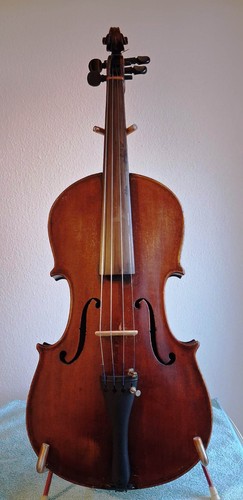 Violino senza nome no - violino,
