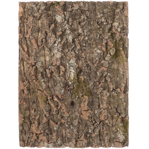 Sughero corteccia pannello - ,