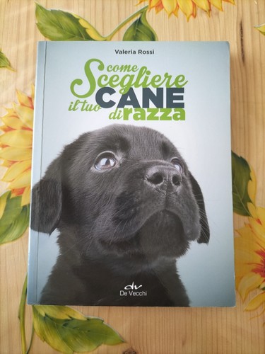 Come scegliere tuo cane di - come,