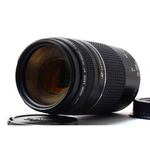 Canon 300mm 5 6 usm - f/4-5.6,