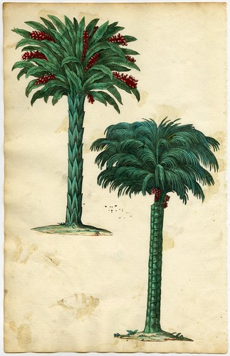 Stampa antica pagina - stampa, antica-pagina