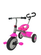 Triciclo 2 in 1 per Bambini
