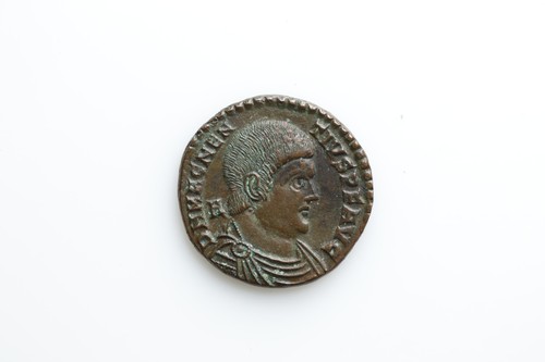 Magnentius victoriae avg - magnentius-victoriae, dd