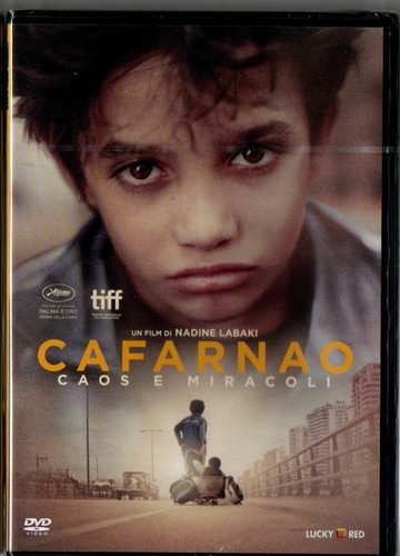 Cafarnao caos miracoli dvd - e,