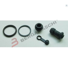 REVISIONE PINZA FRENO