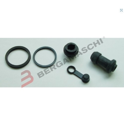 Revisione pinza freno - revisione,