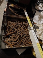 Lotto  Chiodi antichi ferro battuto epoca COME DA FOTO