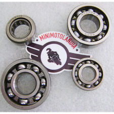 Cuscinetti Ricambio 4 Pezzi Per Carter YX Pit Bike 150/160cc