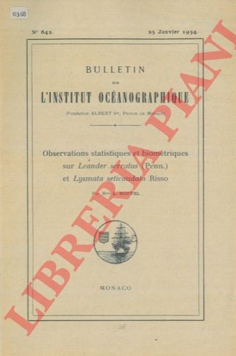 Nouvel observations - nouvel,