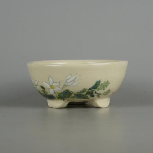 Vaso bonsai senzan - vaso,