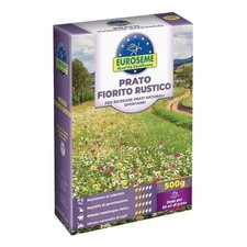 Semi prato fiorito rustico