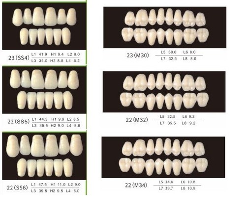 Denti protesi resina serie 3 - s,