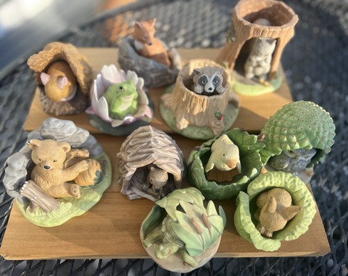 Lotto woodland surprise - lotto,