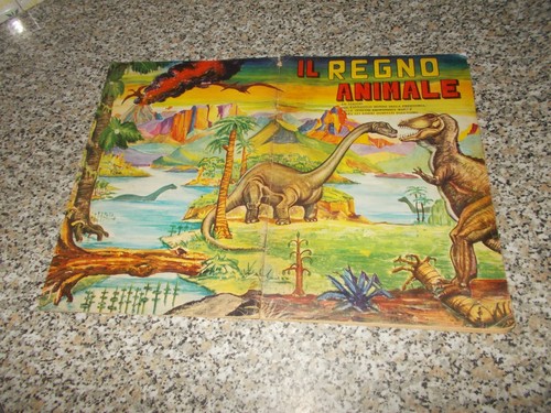Album regno animale - il, ed.cdc