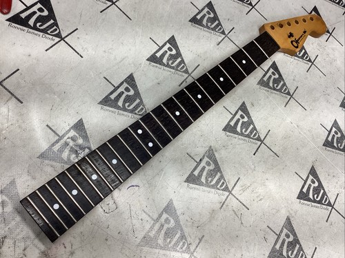 Collo chitarra charvel - chitarra, japan