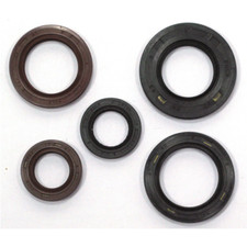 Serie paraolio motore per moto