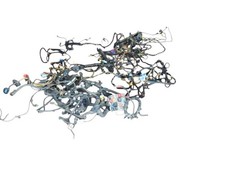 Impianto Cablaggio Abitacolo Fiat Punto Evo 51841766 - 25470 Usato Originale