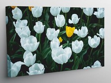 QUADRO MODERNO STAMPA TELA MODERNI QUADRI CAMPO TULIPANI BIANCHI IN FIORE T709