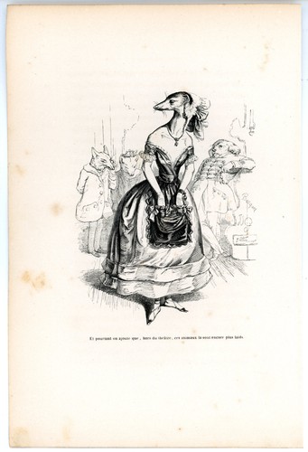 Animaux savants granville 1842 - savants,