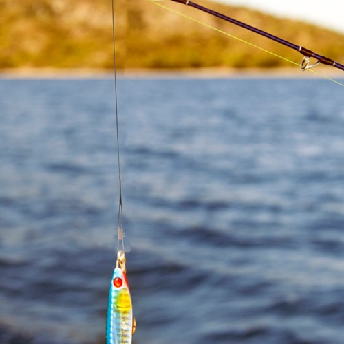 Pezzi pesca anti morso - di, anti-morso
