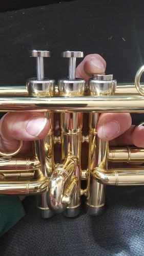 Berkeley d2h monette - d2h,