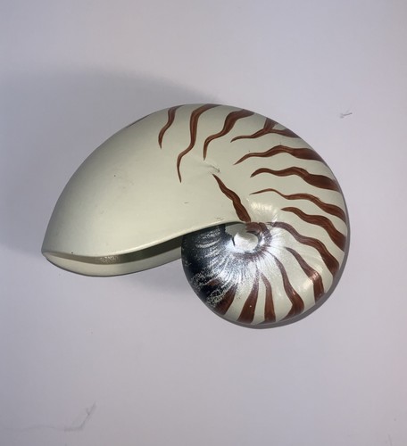 Nautilus pompilius decorazione - nautilus,