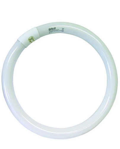 Reer neon fluorescente