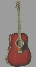 Guitare Acoustique Art &