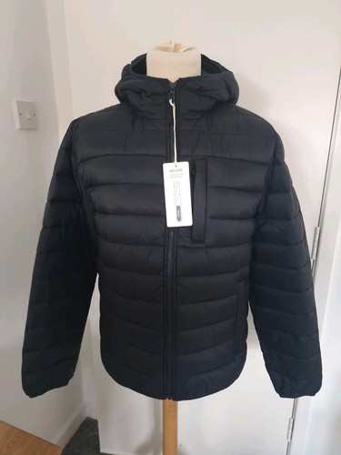 Hollister giubbotto uomo - giubbotto, con