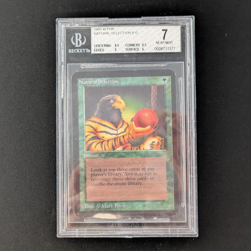 Mtg selezione naturale - selezione,