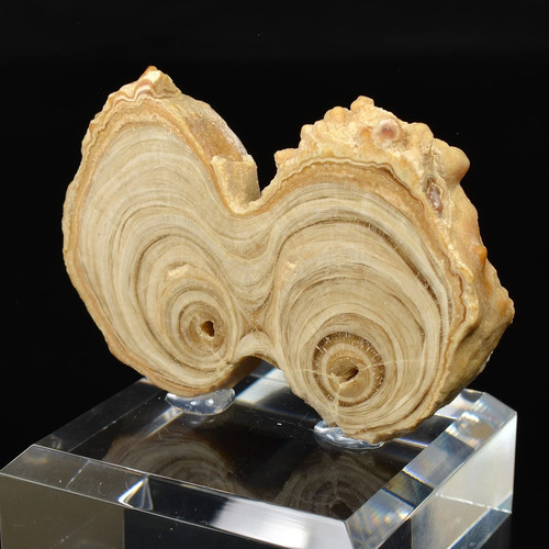 Aragonite imilchil maroc - aragonite, imilchil,