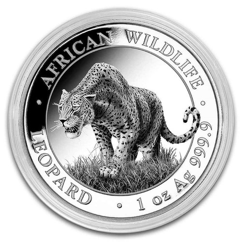 Somalia leopard african - leopard,