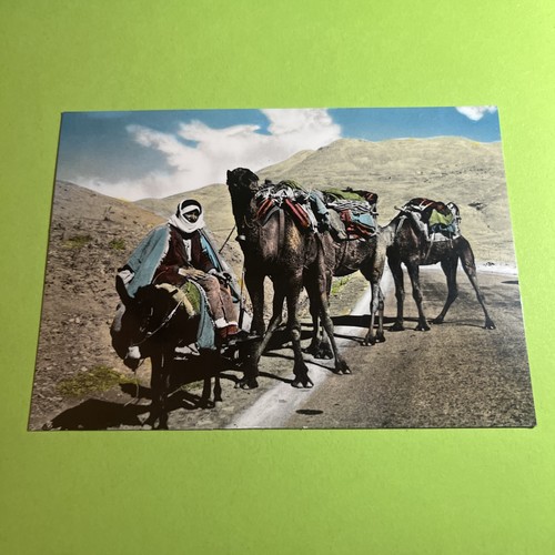 Cartolina colori collezione - cartolina, a