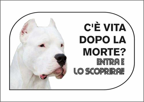 Cartello segnaletico dogo - cartello,