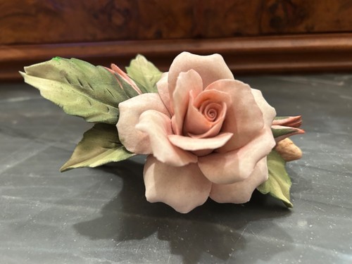 Rosa porcellana capodimonte - porcellana,