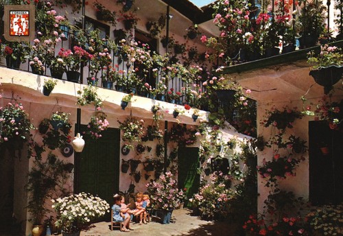 Cortile appartamento - cortile,