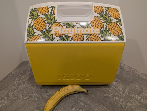 Raffrescatore vintage igloo - raffrescatore,