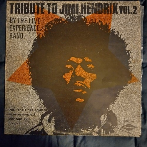 Vinile jimi hendrix - vinile,