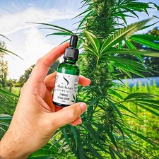Cannabis sativa siero - sativa, siero-olio