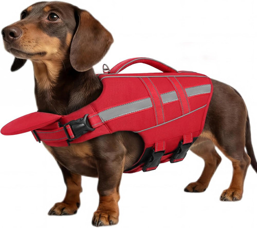 Salvagente per cani - salvagente,