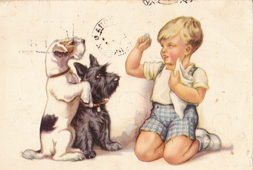 Cartolina fox terrier - cartolina, &