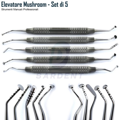 Dentale elevatore mushroom - dentale,