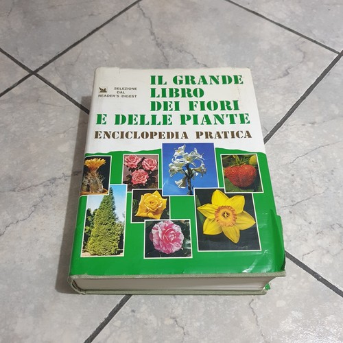 Grande libro dei - il, e