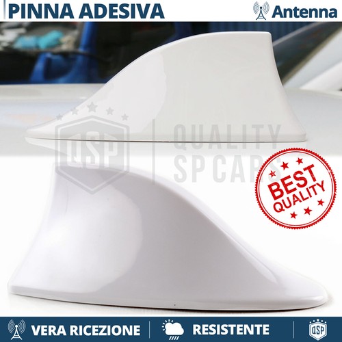 Antenna pinna squalo bianca - antenna,