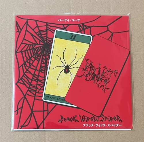Parquet courts black widow - parquet,
