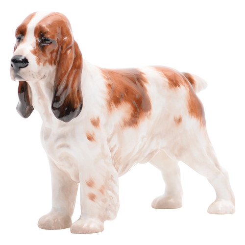 Cocker spaniel medium hn1036 - spaniel,
